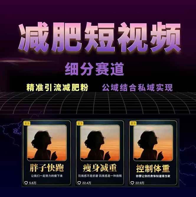 减肥短视频运营实战课：含素材制作、剪映教学，讲精准引流、变现设计与内容模板技巧插图1