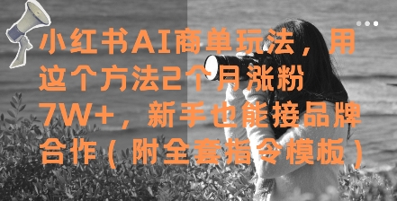 小红书AI商单玩法，用这个方法2个月涨粉7W+，新手也能接品牌合作(附全套指令模板)网创项目-知识付费-在线课程-自媒体创业-网络副业-优利资源优利资源网