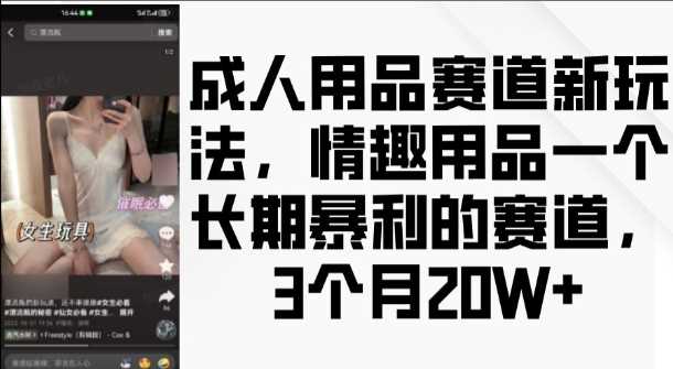 成人用品赛道新玩法，情趣用品一个长期暴利的赛道，3个月收益20个【揭秘】网创项目-知识付费-在线课程-自媒体创业-网络副业-优利资源优利资源网