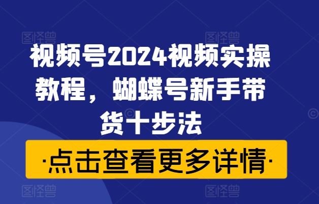 视频号2024视频实操教程，蝴蝶号新手带货十步法网创项目-知识付费-在线课程-自媒体创业-网络副业-优利资源优利资源网