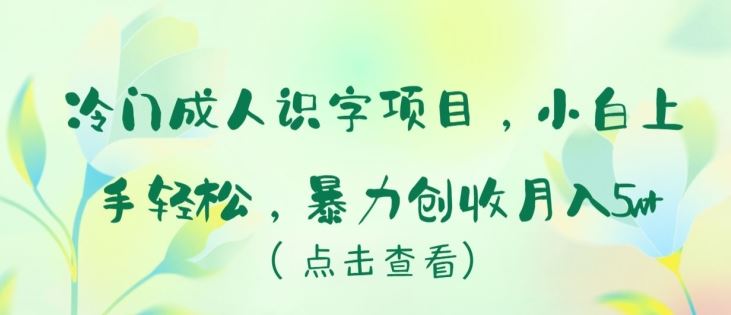 冷门成人识字项目，小白上手轻松，暴力创收月入5w+【揭秘】网创项目-知识付费-在线课程-自媒体创业-网络副业-优利资源优利资源网