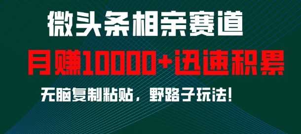 微头条相亲赛道，迅速积累，无脑复制粘贴，野路子玩法，月入1w网创项目-知识付费-在线课程-自媒体创业-网络副业-优利资源优利资源网