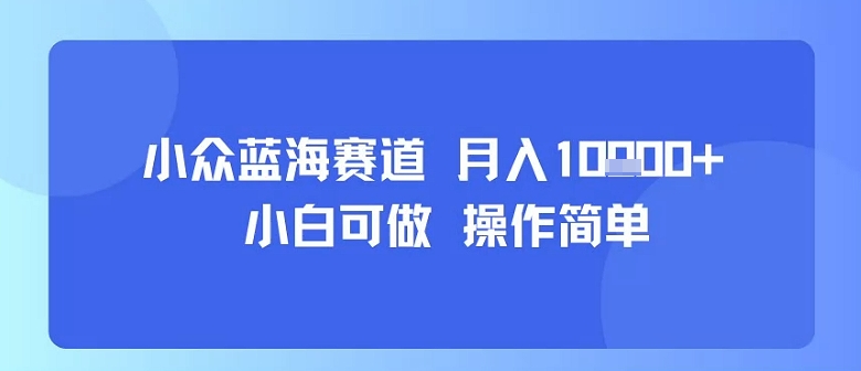 小众蓝海赛道，小白可做，操作简单，每天30分钟，月入1W+网创项目-知识付费-在线课程-自媒体创业-网络副业-优利资源优利资源网