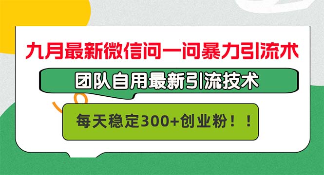 （12735期）九月最新微信问一问暴力引流术，团队自用引流术，每天稳定300+创…网创项目-知识付费-在线课程-自媒体创业-网络副业-优利资源优利资源网
