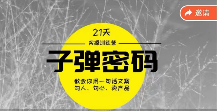 《子弹密码训练营》-用一句话文案勾人勾心卖产品，21天学到顶尖文案大师策略和技巧网创项目-知识付费-在线课程-自媒体创业-网络副业-优利资源优利资源网