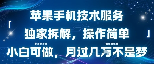 苹果手机技术服务，独家拆解，操作简单，小白可做，月过1W不是梦网创项目-知识付费-在线课程-自媒体创业-网络副业-优利资源优利资源网