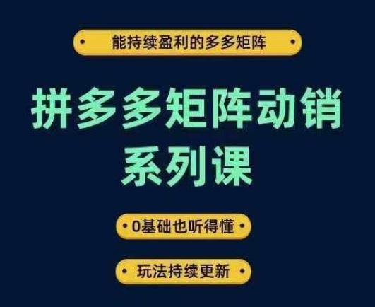 拼多多矩阵动销系列课，能持续盈利的多多矩阵，0基础也听得懂，玩法持续更新网创项目-知识付费-在线课程-自媒体创业-网络副业-优利资源优利资源网