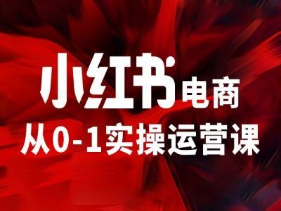 小红书电商从0-1实操运营课，让你从小白到精英网创项目-知识付费-在线课程-自媒体创业-网络副业-优利资源优利资源网