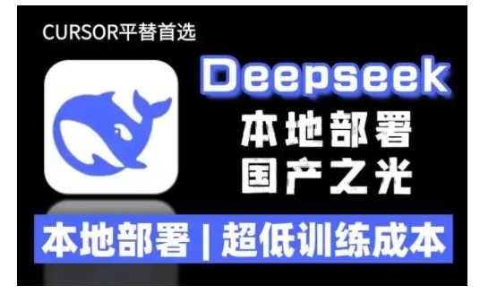 2025年deepseek R1 大型模型本地安装部署(文件+教程)本地部署，超低训练成本网创项目-知识付费-在线课程-自媒体创业-网络副业-优利资源优利资源网