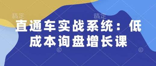 直通车实战系统：低成本询盘增长课，让个人通过技能实现升职加薪，让企业低成本获客，订单源源不断网创项目-知识付费-在线课程-自媒体创业-网络副业-优利资源优利资源网