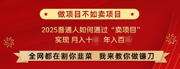 必看，做项目不如卖项目，2025普通人如何通过“卖项目”实现月入十个，年入百个网创项目-知识付费-在线课程-自媒体创业-网络副业-优利资源优利资源网