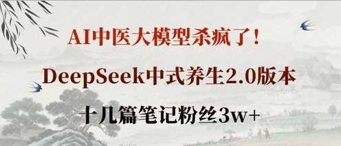 AI中医大模型杀疯了！DeepSeek中式养生2.0版本，十几篇笔记粉丝3w+网创项目-知识付费-在线课程-自媒体创业-网络副业-优利资源优利资源网