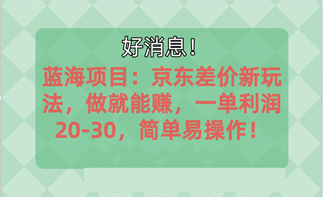 （10989期）越早知道越能赚到钱的蓝海项目：京东大平台操作，一单利润20-30，简单…网创项目-知识付费-在线课程-自媒体创业-网络副业-优利资源优利资源网