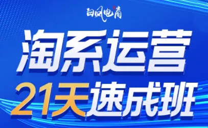 白凤电商·淘系运营21天速成班(更新8月) 白凤电商·淘系运营21天速成班(更新8月)