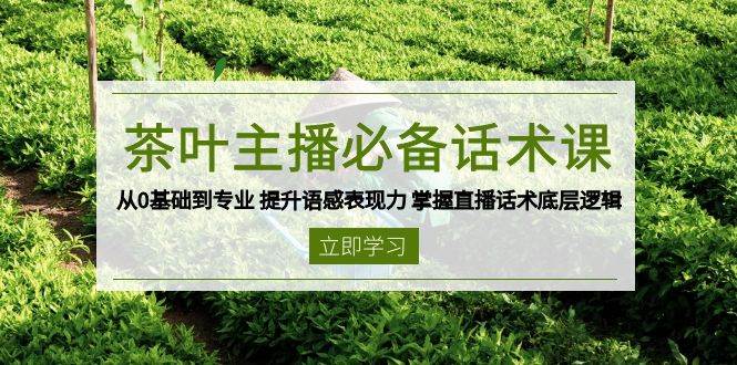 茶叶主播必备话术课 从0基础到专业 提升语感表现力 掌握直播话术底层逻辑网创项目-知识付费-在线课程-自媒体创业-网络副业-优利资源优利资源网