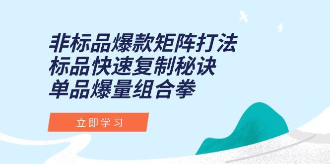 （15068期）非标品爆款矩阵打法，标品快速复制秘诀，单品爆量组合拳网创项目-知识付费-在线课程-自媒体创业-网络副业-优利资源优利资源网