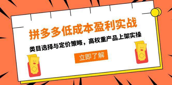 （15143期）拼多多低成本盈利实战，类目选择与定价策略，高权重产品上架实操网创项目-知识付费-在线课程-自媒体创业-网络副业-优利资源优利资源网