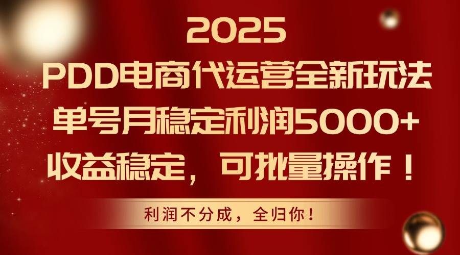 （14839期）2025PDD电商代运营全新玩法，单号月稳定利润5000+，收益稳定，可批量操作网创项目-知识付费-在线课程-自媒体创业-网络副业-优利资源优利资源网