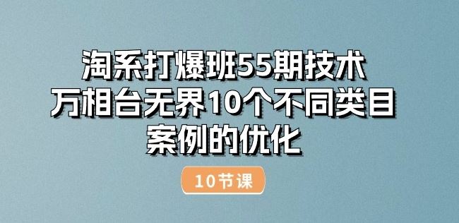 淘系打爆班55期技术：万相台无界10个不同类目案例的优化(10节)网创项目-知识付费-在线课程-自媒体创业-网络副业-优利资源优利资源网