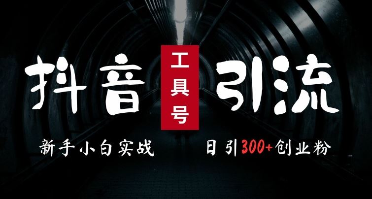 2024最新抖音工具号引流玩法，高效日引300+创业粉，当天变现5k，小白也可成为实战高手网创项目-知识付费-在线课程-自媒体创业-网络副业-优利资源优利资源网