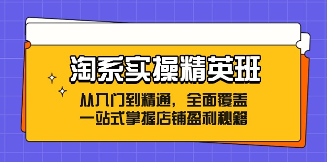（12276期）淘系实操精英班：从入门到精通，全面覆盖，一站式掌握店铺盈利秘籍网创项目-知识付费-在线课程-自媒体创业-网络副业-优利资源优利资源网
