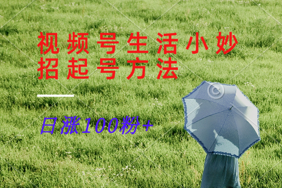 视频号生活小妙招分享赛道， 起号涨粉新方法，日涨100粉网创项目-知识付费-在线课程-自媒体创业-网络副业-优利资源优利资源网