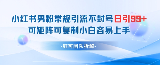 小红书男粉常规引流不封号日引99+变现简单 可矩阵可复制小白容易上手网创项目-知识付费-在线课程-自媒体创业-网络副业-优利资源优利资源网