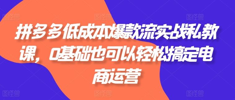 拼多多低成本爆款流实战私教课，0基础也可以轻松搞定电商运营网创项目-知识付费-在线课程-自媒体创业-网络副业-优利资源优利资源网