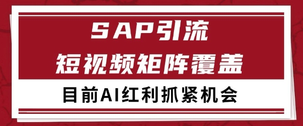 小红书某音sap赛道引流获客 自热矩阵日引200+【揭秘】网创项目-知识付费-在线课程-自媒体创业-网络副业-优利资源优利资源网