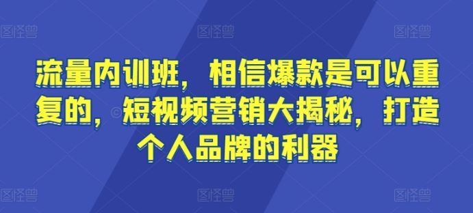 流量内训班，相信爆款是可以重复的，短视频营销大揭秘，打造个人品牌的利器网创项目-知识付费-在线课程-自媒体创业-网络副业-优利资源优利资源网