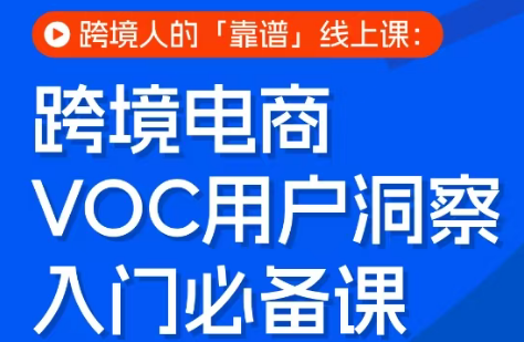跨境电商VOC用户洞察入门必备课网创项目-知识付费-在线课程-自媒体创业-网络副业-优利资源优利资源网