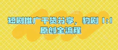 短剧推广干货分享，豹剧 1:1原创全流程网创项目-知识付费-在线课程-自媒体创业-网络副业-优利资源优利资源网
