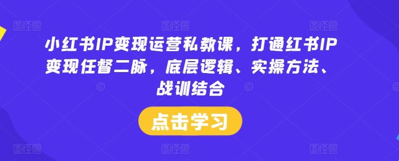 小红书IP变现运营私教课，打通红书IP变现任督二脉，底层逻辑、实操方法、战训结合网创项目-知识付费-在线课程-自媒体创业-网络副业-优利资源优利资源网