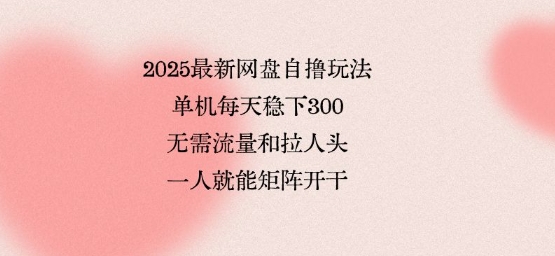 2025最新网盘自撸玩法，单机每天稳下3张，无需流量和拉人头，一个人就可轻松矩阵，全网独一份【揭秘】网创项目-知识付费-在线课程-自媒体创业-网络副业-优利资源优利资源网