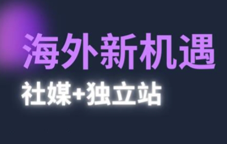 2025出海新机遇(社媒+独立站)，海外新机遇，实现独立站的高效运营与出海网创项目-知识付费-在线课程-自媒体创业-网络副业-优利资源优利资源网