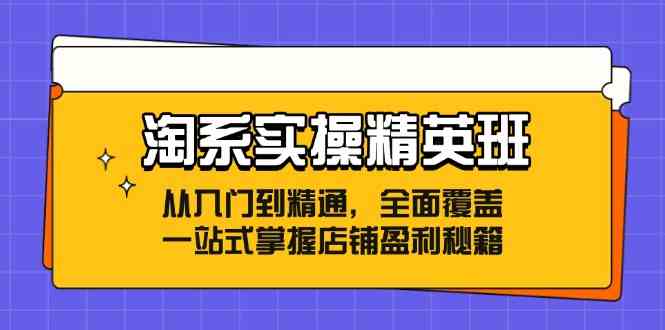 淘系实操精英班：从入门到精通，全面覆盖，一站式掌握店铺盈利秘籍网创项目-知识付费-在线课程-自媒体创业-网络副业-优利资源优利资源网