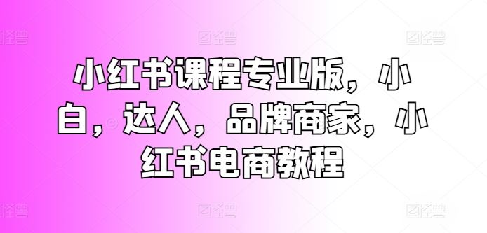 小红书课程专业版，小白，达人，品牌商家，小红书电商教程网创项目-知识付费-在线课程-自媒体创业-网络副业-优利资源优利资源网