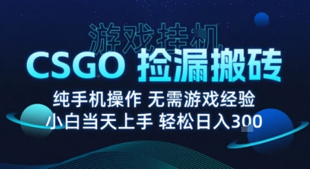 8月最新游戏搬砖，CSGO纯挂G，不需要玩游戏，实现真挂G，月入1W+【揭秘】网创项目-知识付费-在线课程-自媒体创业-网络副业-优利资源优利资源网