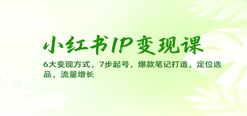 小红书IP变现课：6大变现方式，7步起号，爆款笔记打造，定位选品，流量增长网创项目-知识付费-在线课程-自媒体创业-网络副业-优利资源优利资源网