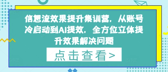 信息流效果提升集训营，从账号冷启动到AI提效，全方位立体提升效果解决问题网创项目-知识付费-在线课程-自媒体创业-网络副业-优利资源优利资源网