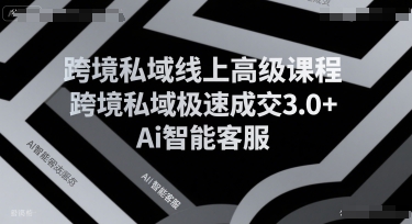 跨境私域线上高级课程，跨境私域极速成交3.0+Ai智能客服网创项目-知识付费-在线课程-自媒体创业-网络副业-优利资源优利资源网