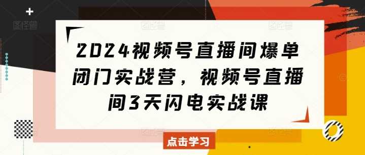 2024视频号直播间爆单闭门实战营，视频号直播间3天闪电实战课网创项目-知识付费-在线课程-自媒体创业-网络副业-优利资源优利资源网