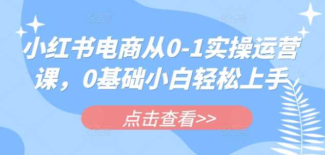 小红书电商从0-1实操运营课，0基础小白轻松上手网创项目-知识付费-在线课程-自媒体创业-网络副业-优利资源优利资源网