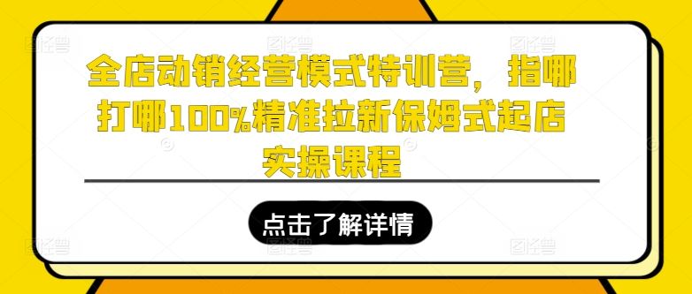 全店动销经营模式特训营，指哪打哪100%精准拉新保姆式起店实操课程网创项目-知识付费-在线课程-自媒体创业-网络副业-优利资源优利资源网