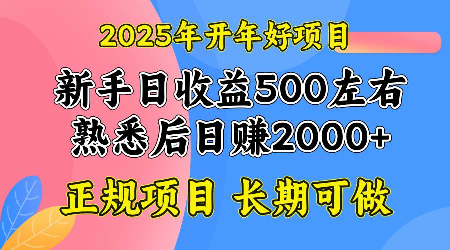 （14076期）2025开年好项目，单号日收益2000左右网创项目-知识付费-在线课程-自媒体创业-网络副业-优利资源优利资源网