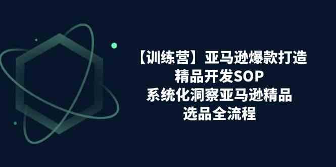 亚马逊爆款打造之精品开发SOP【训练营】，系统化洞察亚马逊精品选品全流程网创项目-知识付费-在线课程-自媒体创业-网络副业-优利资源优利资源网