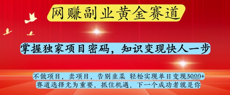 网创副业黄全赛道，掌握独家项目密码，知识变现快人一步，告别韭菜轻松实现单日变现1k+【揭秘】网创项目-知识付费-在线课程-自媒体创业-网络副业-优利资源优利资源网