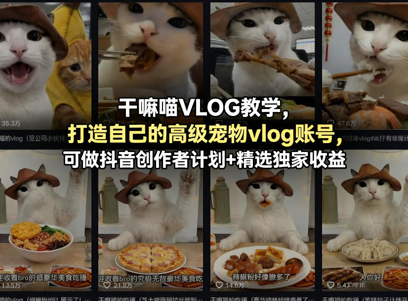 干嘛喵VLOG教学，打造自己的高级宠物vlog账号，可做抖音创作者计划+精选独家收益网创项目-知识付费-在线课程-自媒体创业-网络副业-优利资源优利资源网