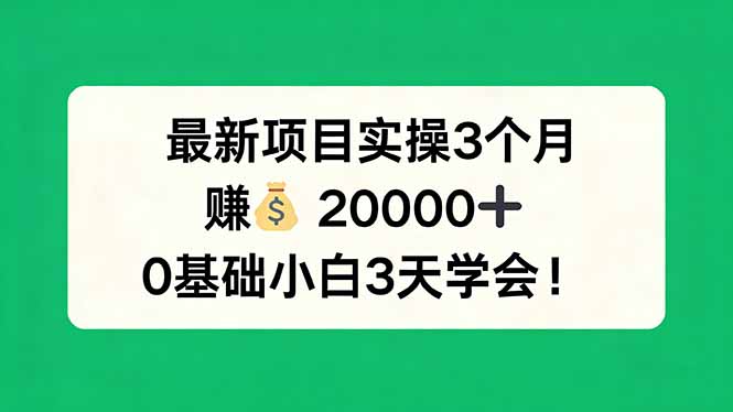 最新项目实操3个月，赚钱20000+，0基础小白3天学会！网创项目-知识付费-在线课程-自媒体创业-网络副业-优利资源优利资源网