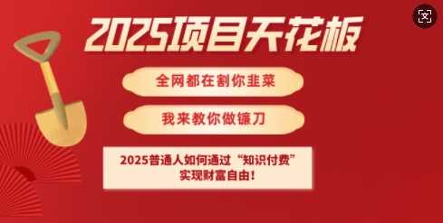 2025项目天花板普通人如何通过知识付费，实现财F自由【揭秘】网创项目-知识付费-在线课程-自媒体创业-网络副业-优利资源优利资源网